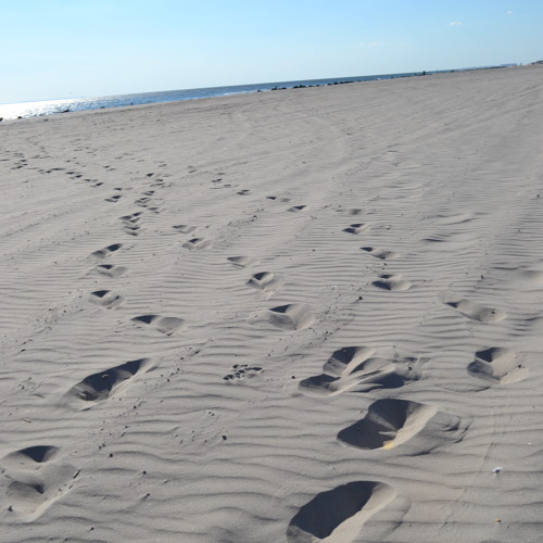 June (Jazz Drums Version)