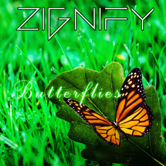 Zignify - Butterflies