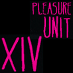 TSBiN @ Pleasure Unit 2013 Kesselhaus Singwitz