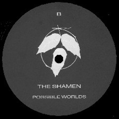 Possible Worlds [Shamen Stick Edit]