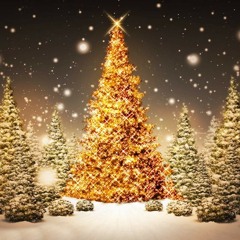 So This Is Christmas (War is over)