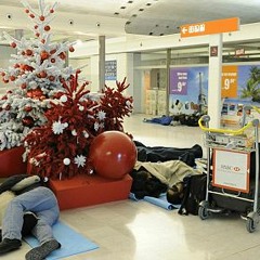 Born For The Holidays