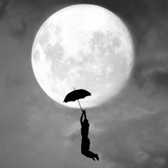 Fly me to the Moon - Frank Sinatra [cover]