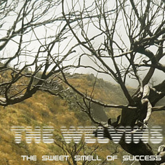 The Welvins ft. Starlord - The Sweet Smell Of Success