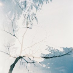 ควันจางลา - Desktop Error @COMMON