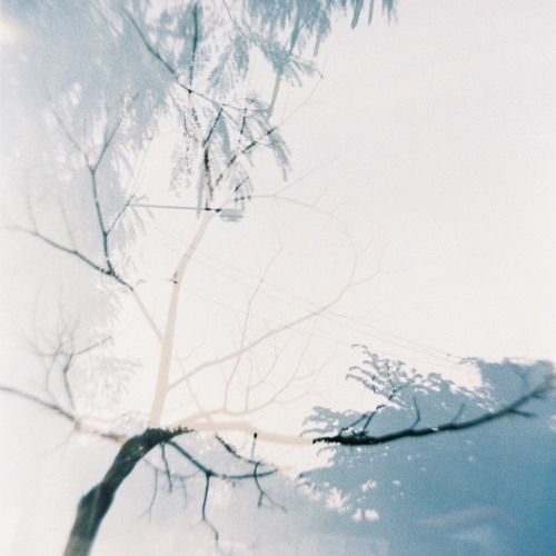 ควันจางลา - Desktop Error @COMMON