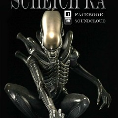 Dj Scheich RA  Do What I Say Progressiv Goa Cybertrax Records Organisation 2013