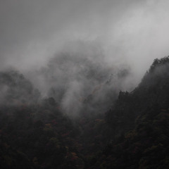 L'Enfant De La Forêt - The Sea Of Trees