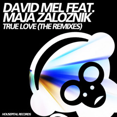 David Mel feat. Maja Zaloznik - True Love (Tim Bailey Remix) [out now!]