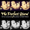 THE PERFECT STORM - (Original Song)
