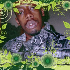 woodrow hustlersent radio 12'85