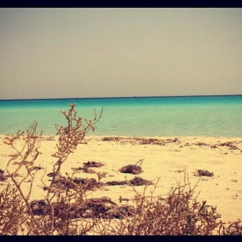 عبدالولي الاركاني - سورة غافر