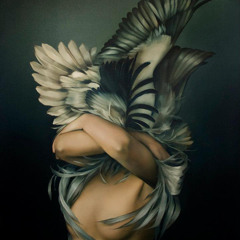 Woman Lady Wings