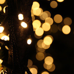 Silent Night (きよしこの夜) （played by classic guitars）