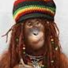 Hey, Mr Poacherman! - By The Spotted Monkeys