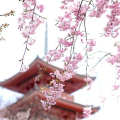 KANON - Togawa Jun