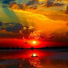 Bittersweet Nostalgia - LIVE NOLA