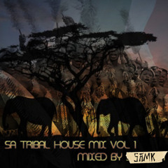 SA Tribal House 2010