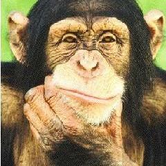 M.O.R Feat Nelson,Skul Mapane Gangstar