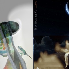 The Moonlight's Wake