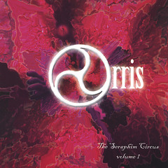 What If This Is All There Was