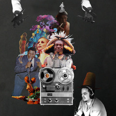 sacromonte's gettin fuzzy