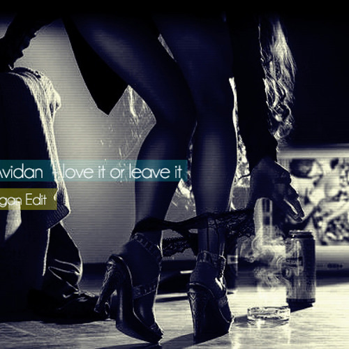 Asaf Avidan - Love it or Leave it ( Alin Dragan Edit )