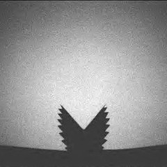 ZenMorg & Köhler - Japanese Young Style (Official Mix)