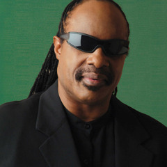 Soy x Bagamortis - Stevie Blind (Prod. Kang Kong)