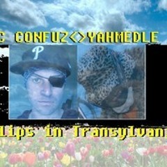 Tulips in Transylvania-mc confuz-beat by Yahmedle-