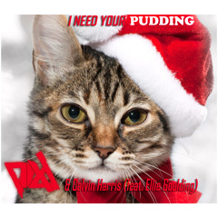 I  Need Your Pudding (Calvin Harris V. PIXL Mashup)