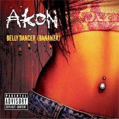 Akon - Belly Dancer (Roy Van Dahl Mashup)