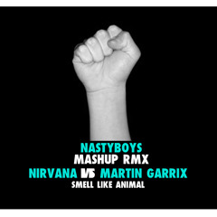 Martin Garrix vs Nirvana - Animal SmeLL (Nastyboys Private Mash up v2) Preview