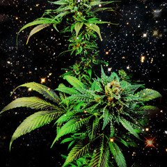 I Be On It [FREE DOWNLOAD]