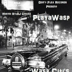 Playa Wasp-I Run Tha City (Intro)