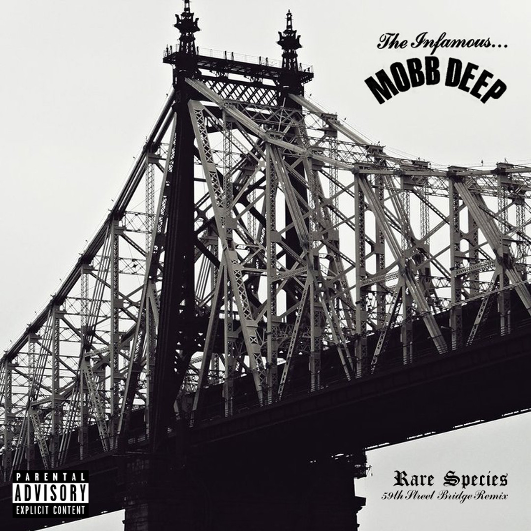 Listen to Mobb Deep - Rare Species - (59th Street Bridge