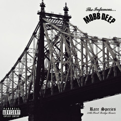 Mobb Deep - Rare Species - (59th Street Bridge Remix)