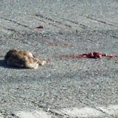 Deadication to all haters..Prt.1 (Produced by. UltraBlackBeats