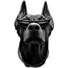 Джино - Без права на ошибку