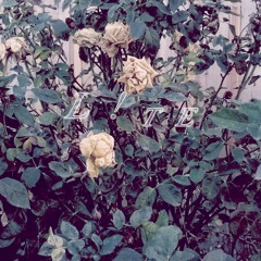 Lifted (Free download)