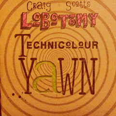 Reversed guitar , 12 String Guitar, Tapes, Tape machine - Technicolour Yawn - Craig Scotts Lobotomy