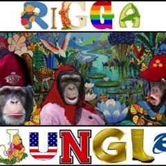 Arno - 2013.12.13 - Riggajungle