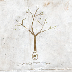 What Would You Do? (Single) - Seed to Tree
