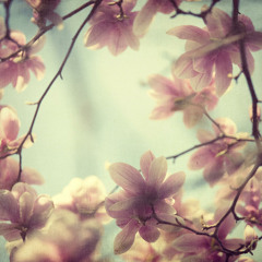 Lupe Fiasco - Daydreamin' [TYRO Remix]