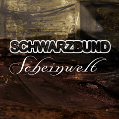 Scheinwelt (Sehnsucht RMX by Neoklin)