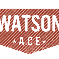 Up On Cripple Creek (Cover)