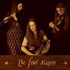 The Friel Sisters - Humours of Ballyloughlin/Rakes of Clonmel/The Kilkenny Jig
