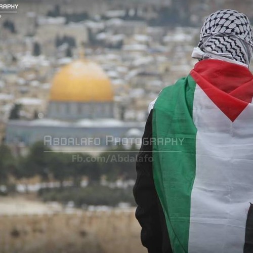 دقلي لـ عبدالرحمن القريوتي