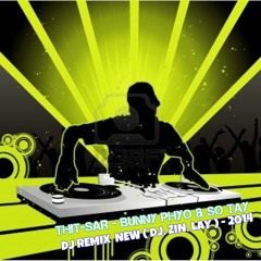 Thit  Sar - Bunny Phyo & So Tay @ DJ Remix (  DJ .Zin .Lay ) - 2014