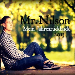 mr.nilson - mein jahresrückblick 2013